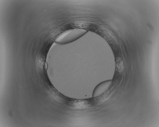 X0000115390235200912151506