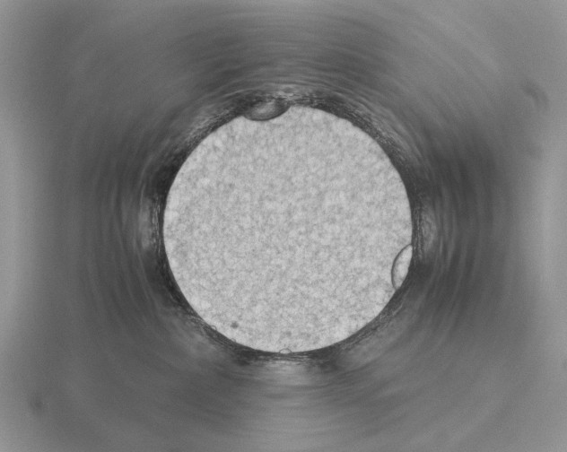 X0000115390236200912151506