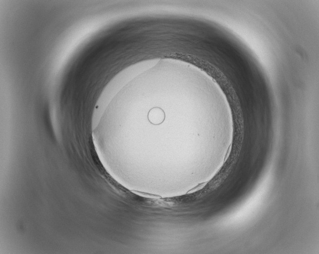 X0000115390239200912151506