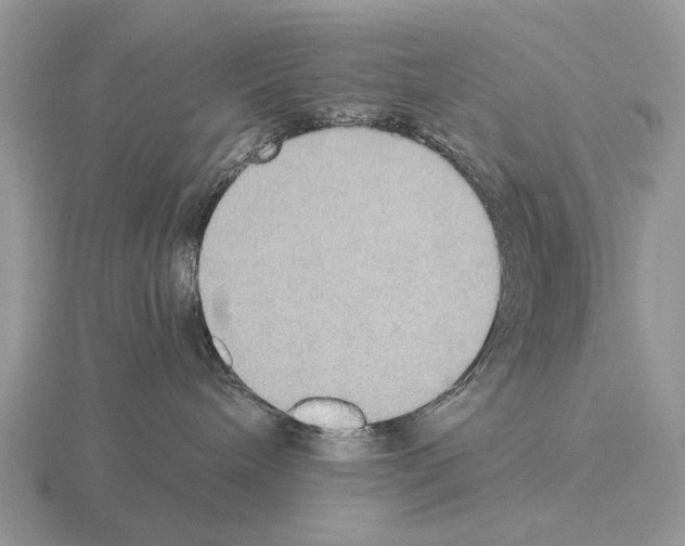 X0000115390240200912151506