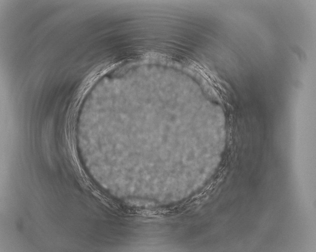 X0000115390241200912151505