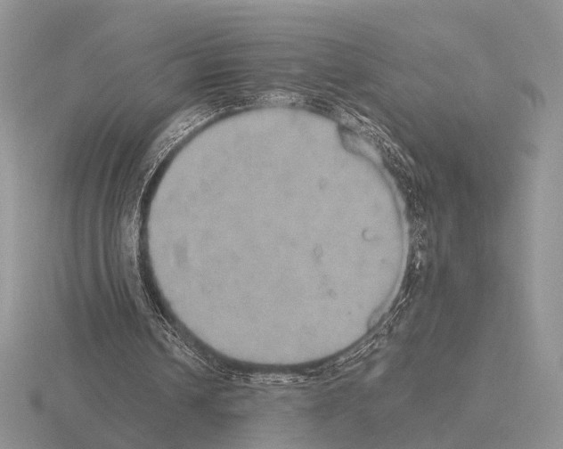 X0000115390242200912151505