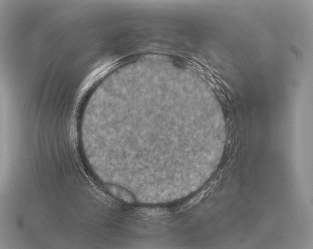 X0000115390245200912151505