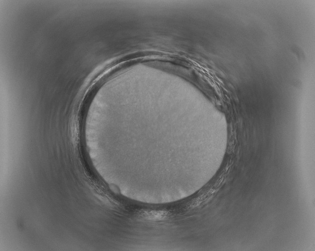 X0000115390247200912151505