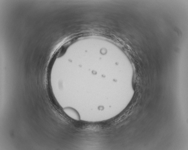 X0000115390248200912151505