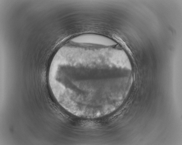 X0000115390249200912151505