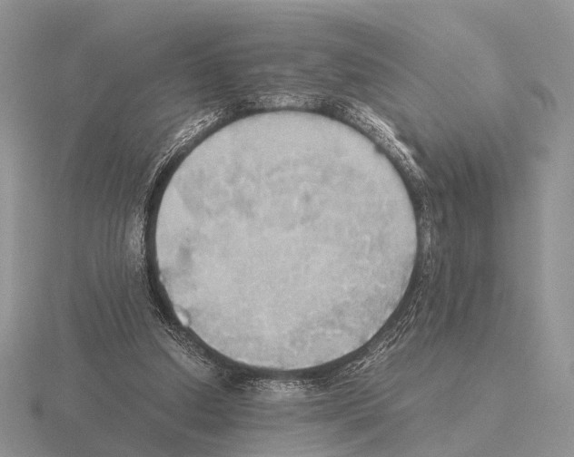 X0000115390250200912151505