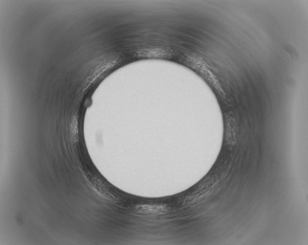 X0000115390251200912151505