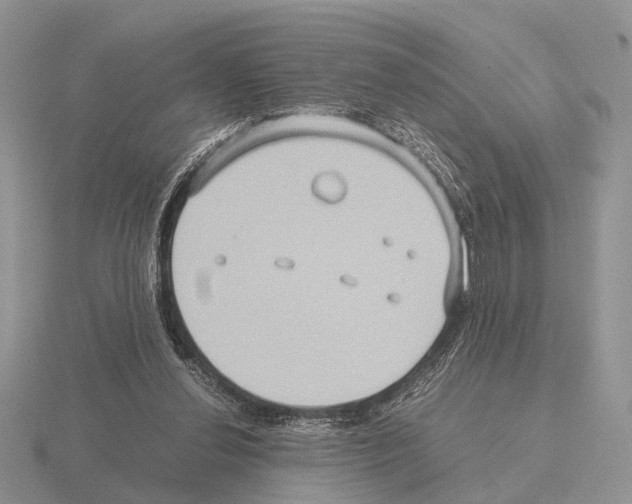 X0000115390252200912151505