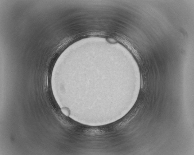 X0000115390253200912151505