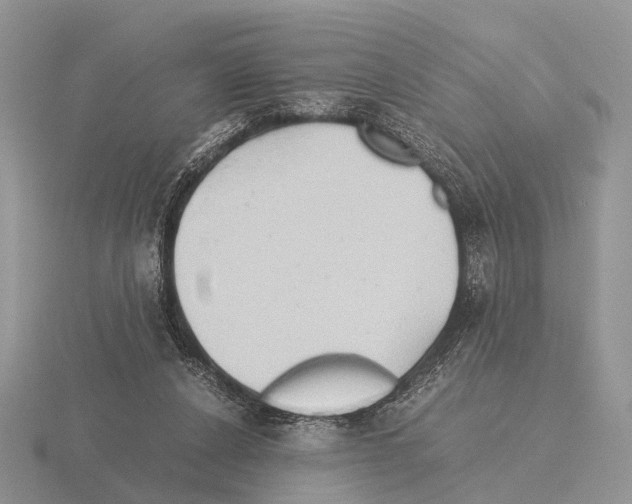 X0000115390256200912151505