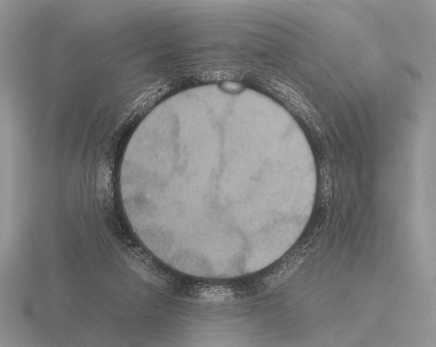 X0000115390258200912151505