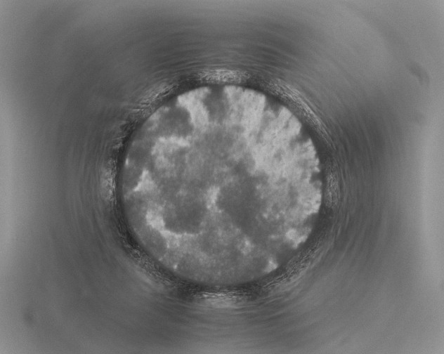 X0000115390259200912151505