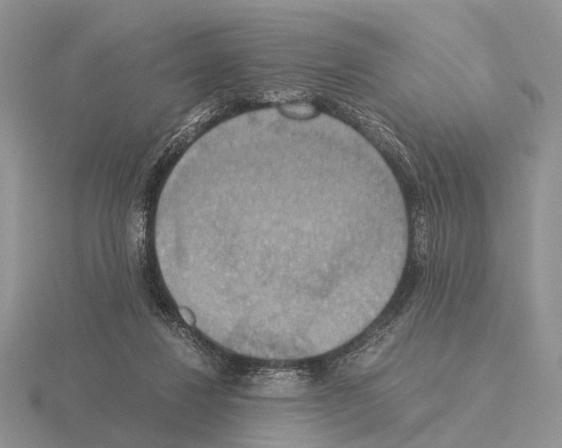 X0000115390260200912151505