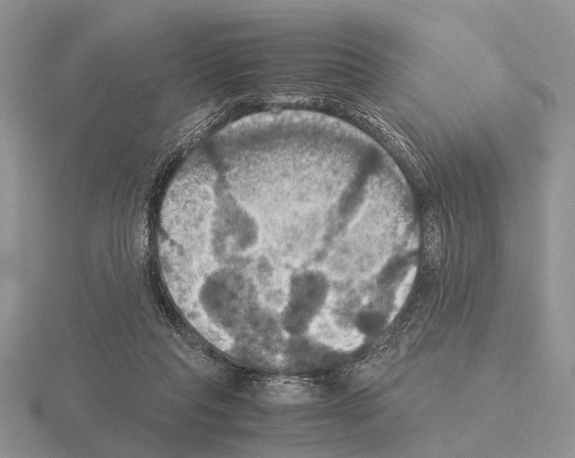 X0000115390261200912151505