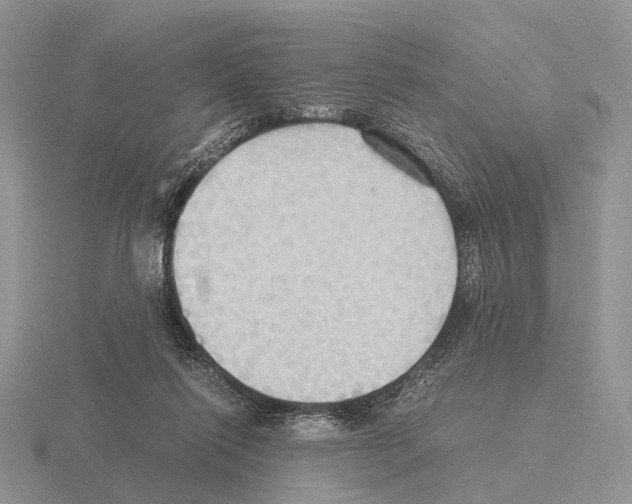 X0000115390262200912151505