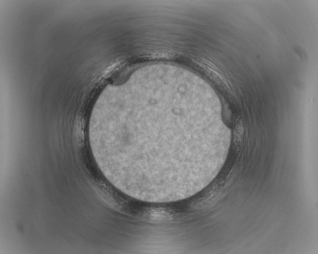 X0000115390264200912151505