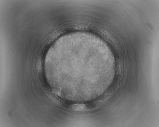 X0000115390266200912151506