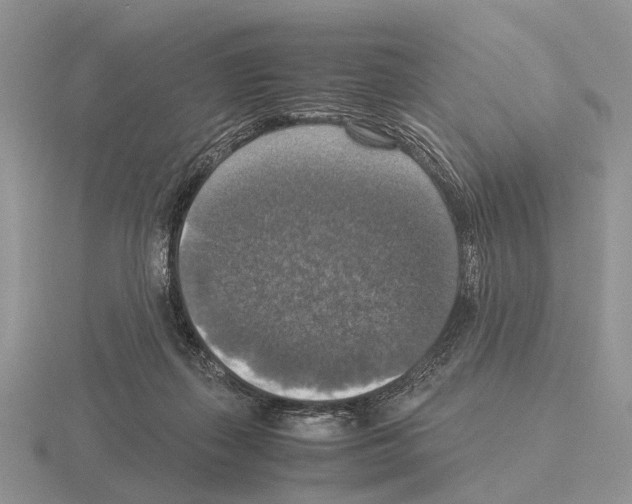 X0000115390267200912151506