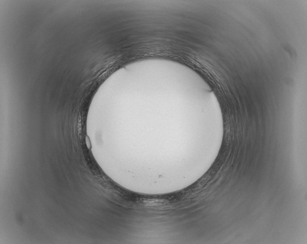 X0000115390268200912151506