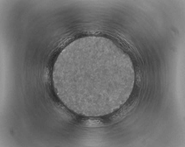 X0000115390270200912151506