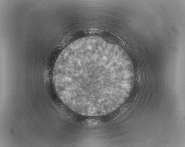 X0000115390272200912151506