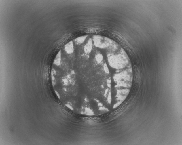 X0000115390273200912151506