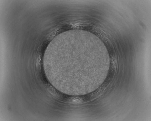 X0000115390275200912151506