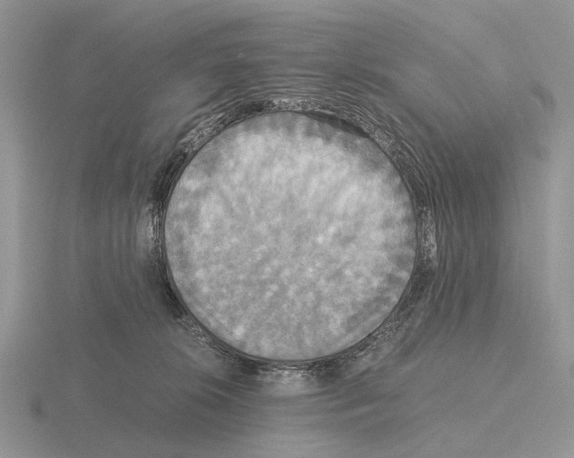 X0000115390276200912151506