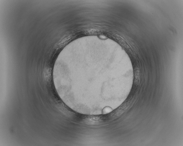 X0000115390278200912151506