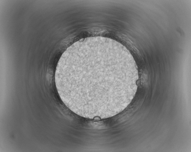 X0000115390283200912151506