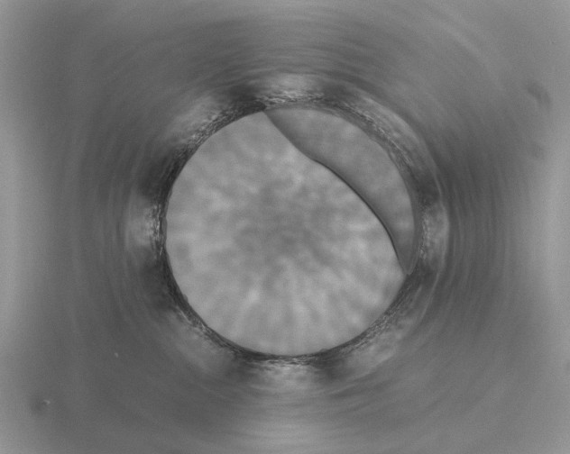 X0000115390284200912151506