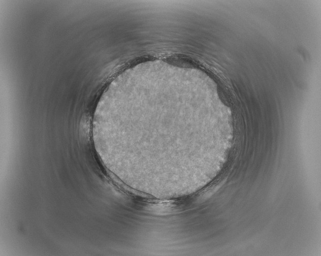 X0000115390288200912151506