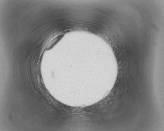 X0000115390289200912151505