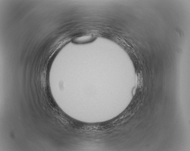 X0000115390291200912151505