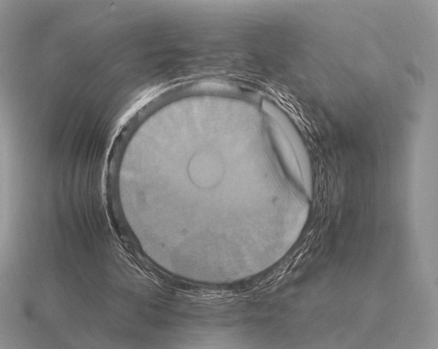 X0000115390292200912151505