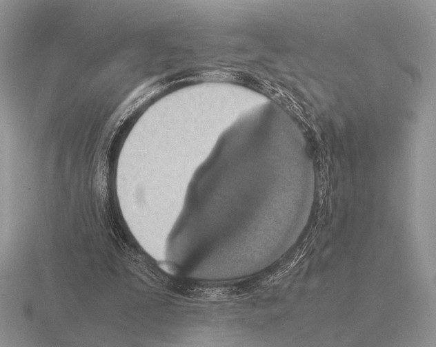 X0000115390295200912151505