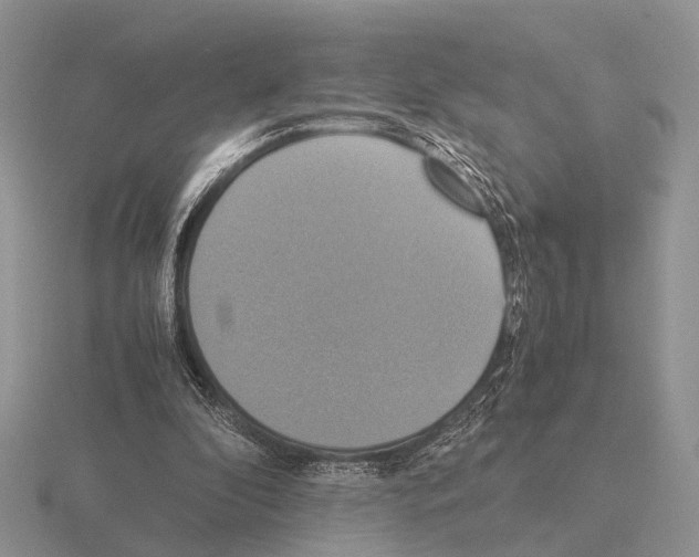 X0000115390296200912151505