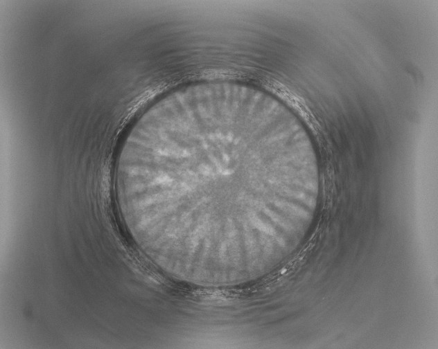 X0000115390297200912151505