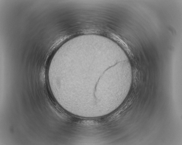 X0000115390298200912151505