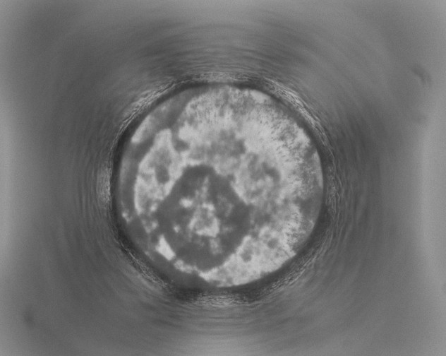 X0000115390299200912151505