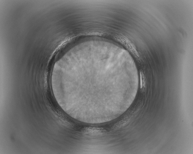 X0000115390300200912151505