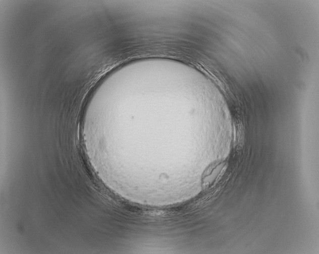 X0000115390301200912151505