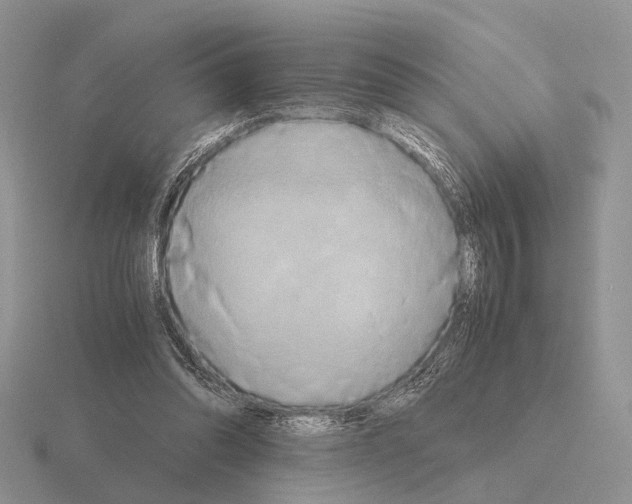 X0000115390302200912151505