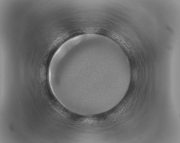 X0000115390303200912151505