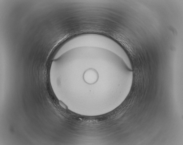 X0000115390304200912151505