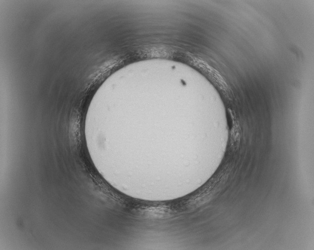 X0000115390306200912151505