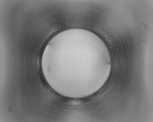 X0000115390308200912151505