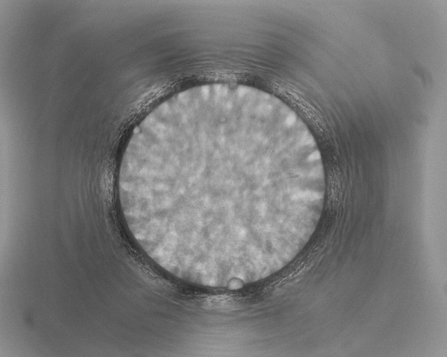 X0000115390309200912151505