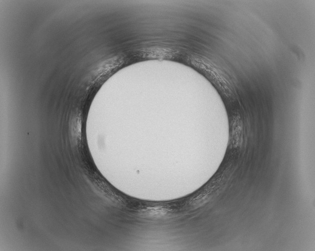 X0000115390310200912151505